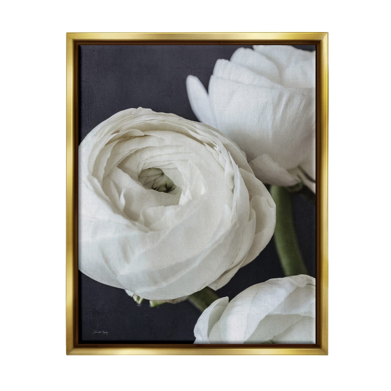Stupell Industries Budding Ranunculus Flower Blooming Framed Floater Canvas Wall Art